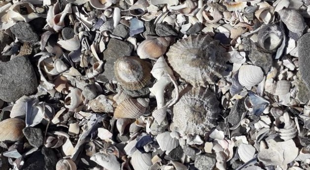 0 Bedroom Property for Sale in St Helena Views Western Cape